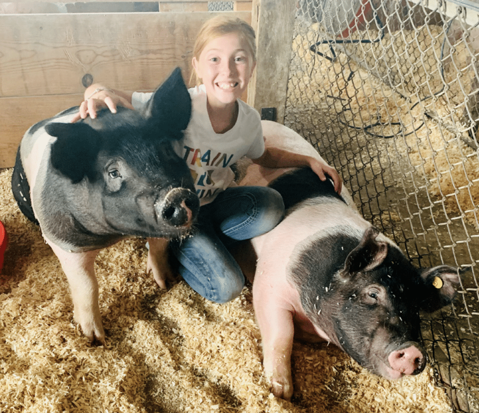 kaylee miller pig fair